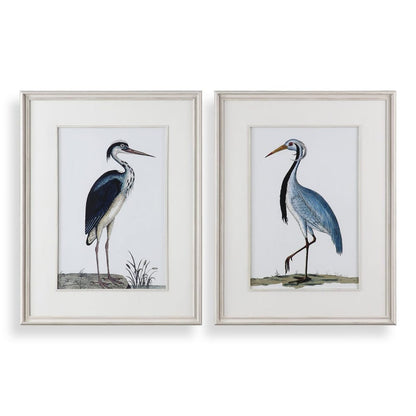 Shore Birds Framed Prints, Set of 2