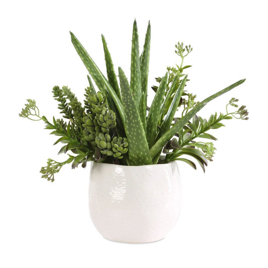 Sundown Succulent Accent