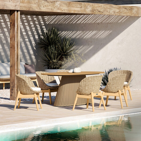 Tulle Dining Chair
