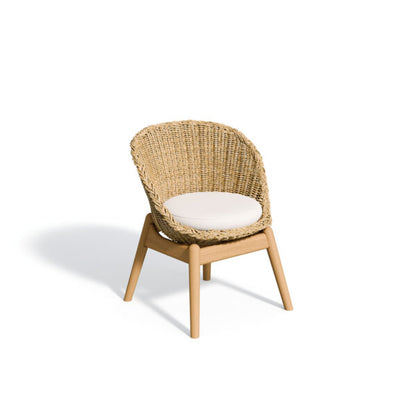 Tulle Dining Chair