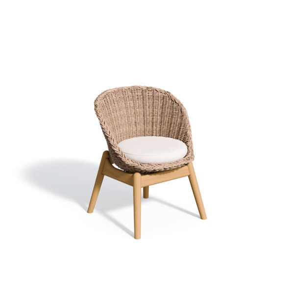Tulle Dining Chair