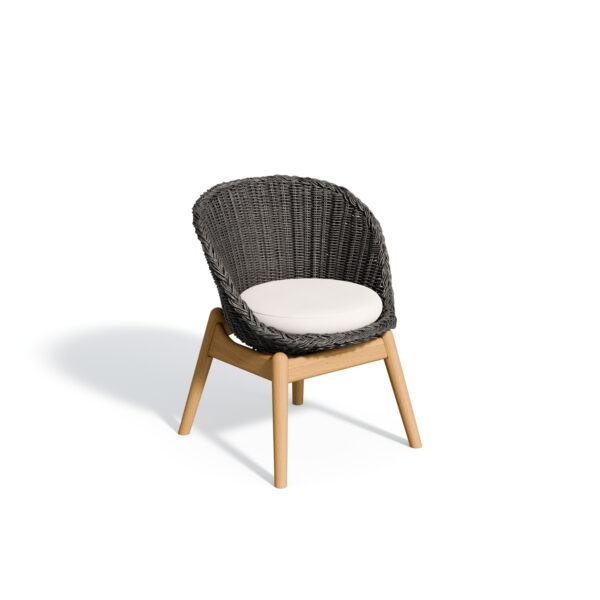 Tulle Dining Chair