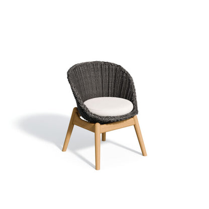 Tulle Dining Chair