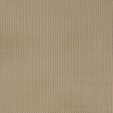Winter Wheat