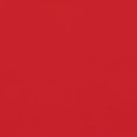 Canvas Jockey Red