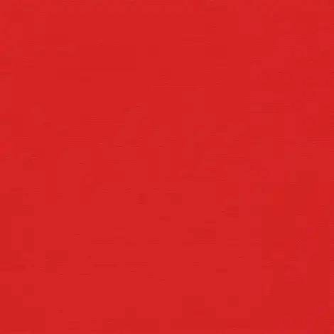 Canvas Logo Red