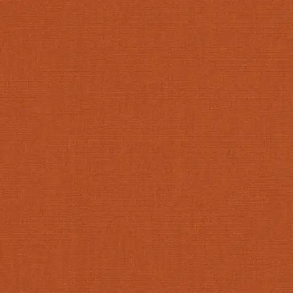 Canvas Rust